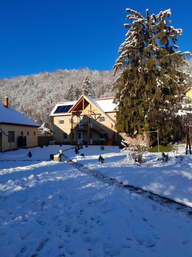 Fonagy Apartmanok Nagyvisnyó 外观 照片